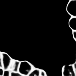 Cell Segmentation from Membrane Staining for Plant Tissues