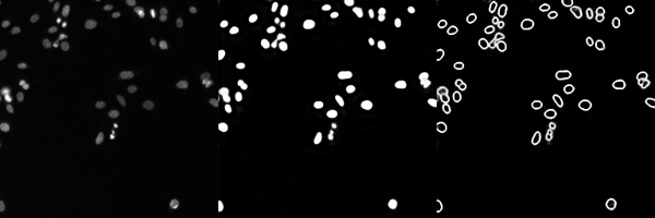 NucleiSegmentationBoundaryModel