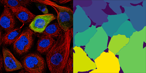 HPA Cell Segmentation (DPNUnet)
